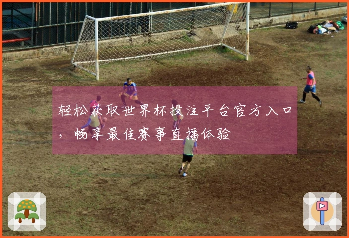 轻松获取世界杯投注平台官方入口，畅享最佳赛事直播体验