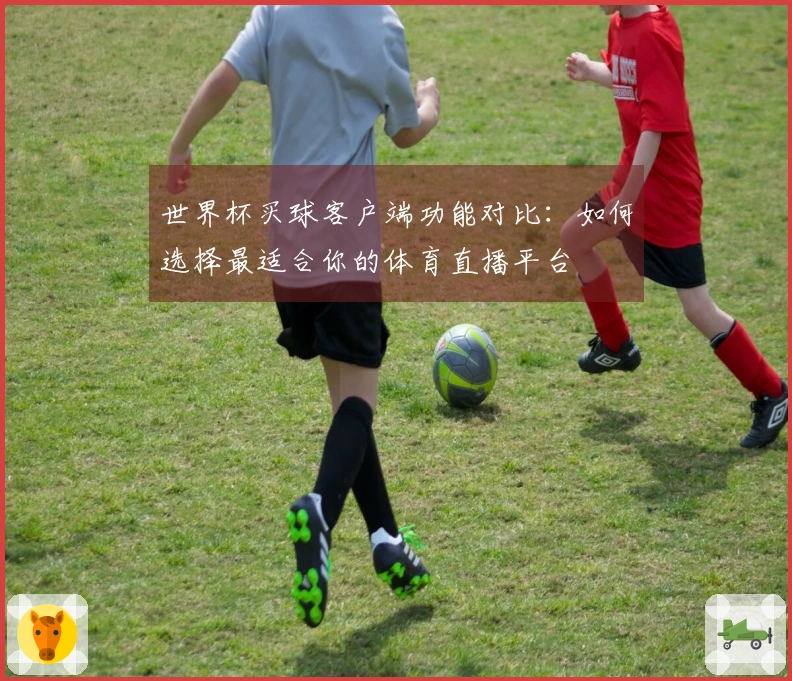 世界杯买球客户端功能对比：如何选择最适合你的体育直播平台
