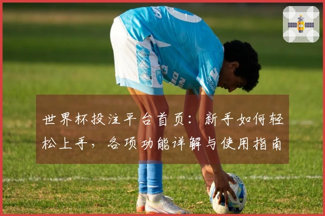 世界杯投注平台首页：新手如何轻松上手，各项功能详解与使用指南