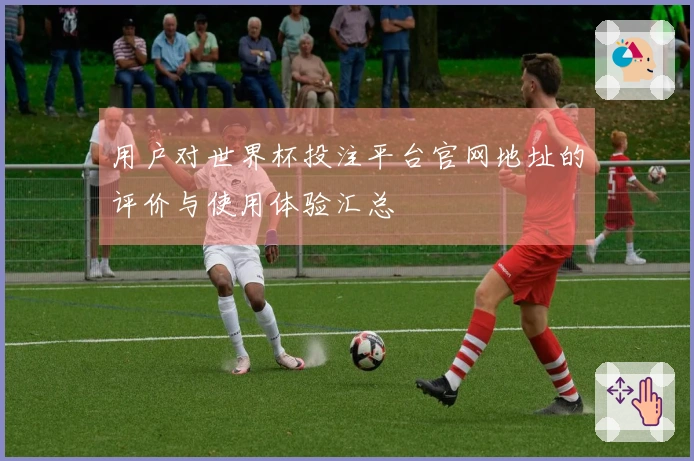 用户对世界杯投注平台官网地址的评价与使用体验汇总