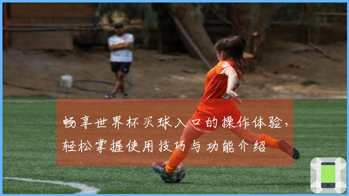 畅享世界杯买球入口的操作体验，轻松掌握使用技巧与功能介绍