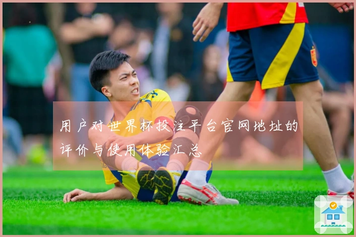用户对世界杯投注平台官网地址的评价与使用体验汇总