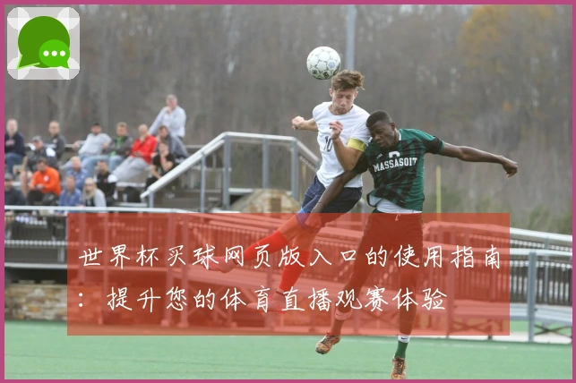 世界杯买球网页版入口的使用指南：提升您的体育直播观赛体验