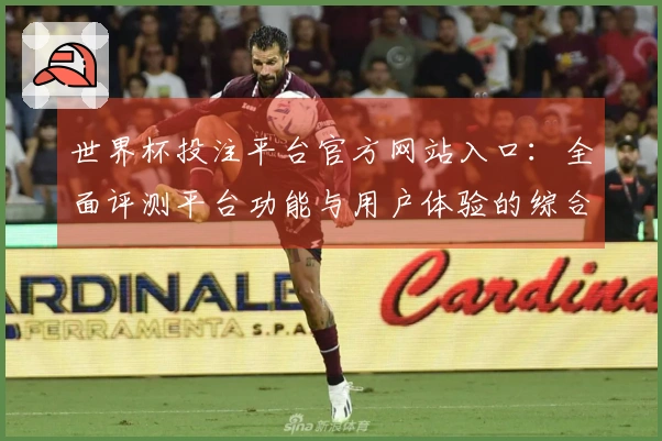世界杯投注平台官方网站入口：全面评测平台功能与用户体验的综合表现分析
