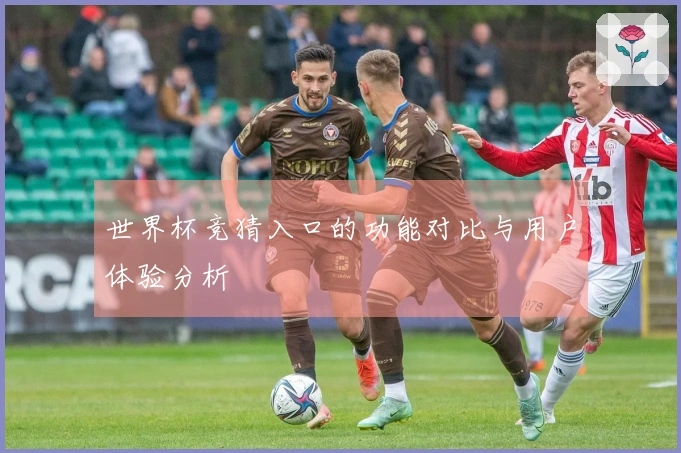 世界杯竞猜入口的功能对比与用户体验分析