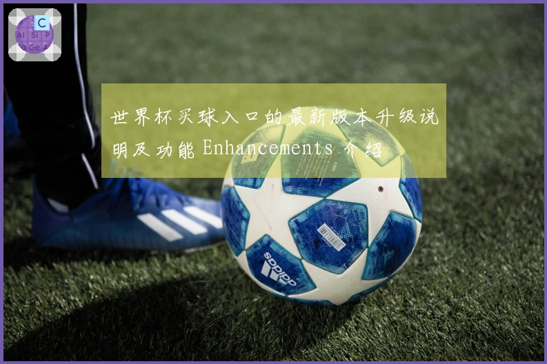 世界杯买球入口的最新版本升级说明及功能 Enhancements 介绍