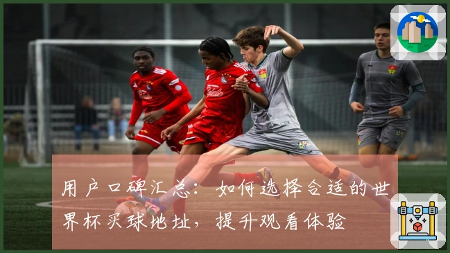 用户口碑汇总：如何选择合适的世界杯买球地址，提升观看体验