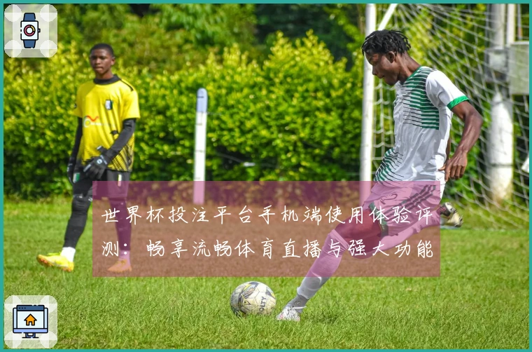世界杯投注平台手机端使用体验评测：畅享流畅体育直播与强大功能介绍