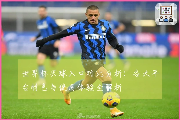 世界杯买球入口对比分析：各大平台特色与使用体验全解析
