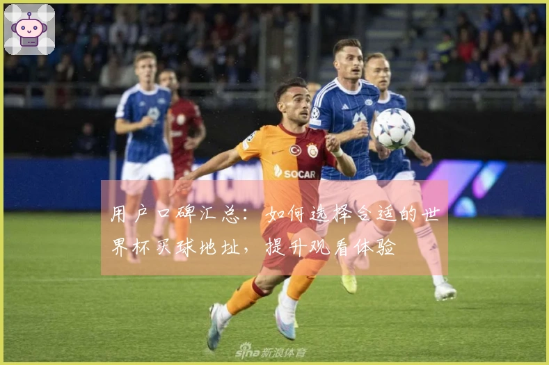 用户口碑汇总：如何选择合适的世界杯买球地址，提升观看体验