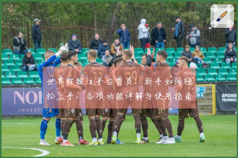 世界杯投注平台首页：新手如何轻松上手，各项功能详解与使用指南