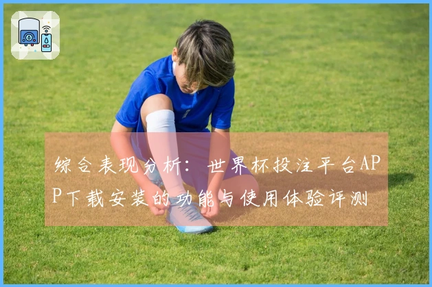 综合表现分析：世界杯投注平台APP下载安装的功能与使用体验评测
